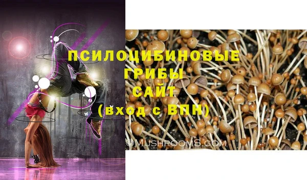 альфа пвп Армянск