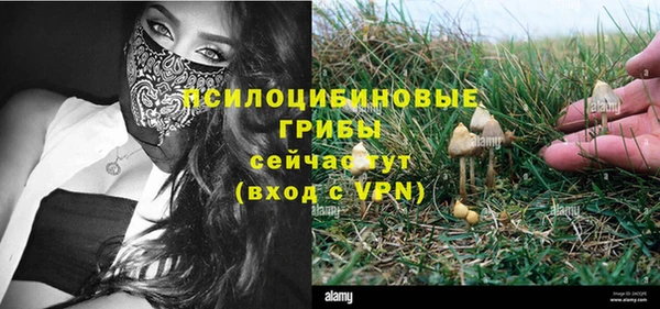 2c-b Балахна