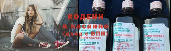 эйфоретик Арсеньев