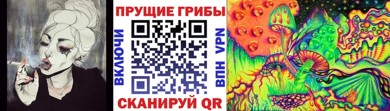 Галлюциногенные грибы MAGIC MUSHROOMS  Липки 